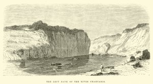 The left bank of the River Chahuaris by Edouard Riou